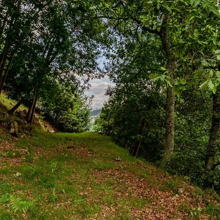 Abrigo Dos Maias - A Soulful Retreat In By Hostwise * Baião