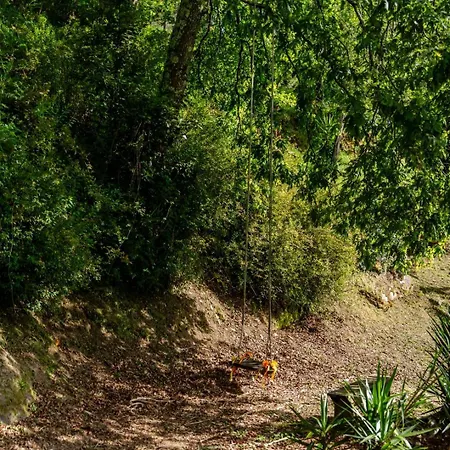 Vakantiehuis Abrigo Dos Maias - A Soulful Retreat In By Hostwise Baião