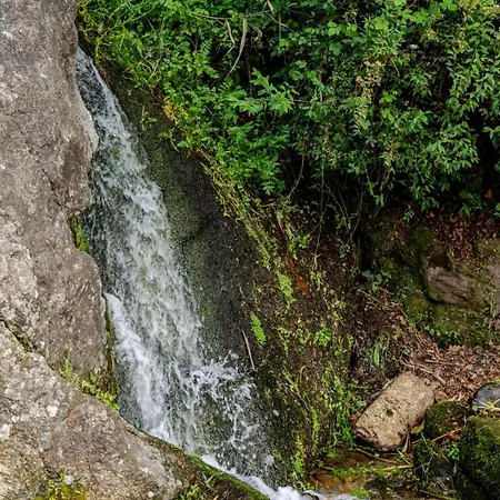 Abrigo Dos Maias - A Soulful Retreat In By Hostwise Vakantiehuis Baião