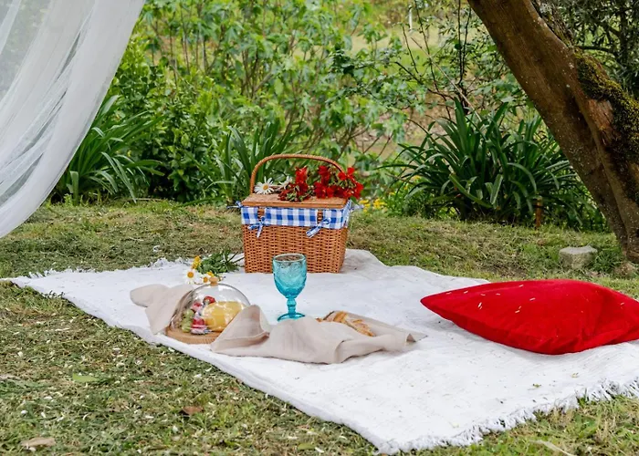 Abrigo Dos Maias - A Soulful Retreat In By Hostwise Baião