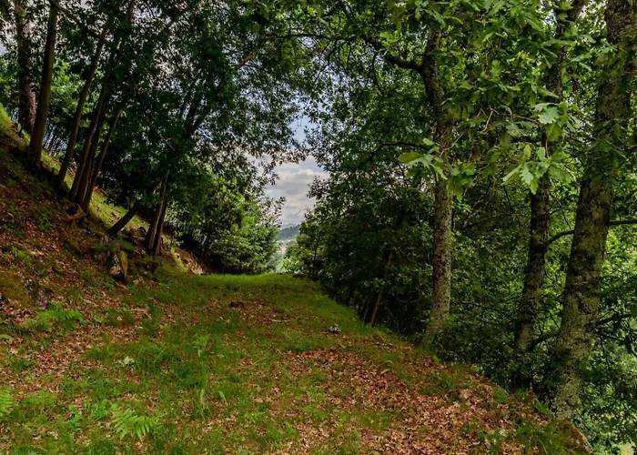 Abrigo Dos Maias - A Soulful Retreat In By Hostwise * Baião