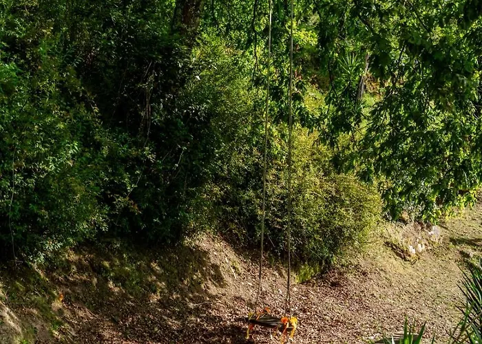 Nyaraló Abrigo Dos Maias - A Soulful Retreat In By Hostwise Baião