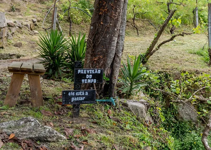 Abrigo Dos Maias - A Soulful Retreat In By Hostwise