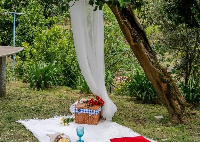 Abrigo Dos Maias - A Soulful Retreat In By Hostwise Nyaraló